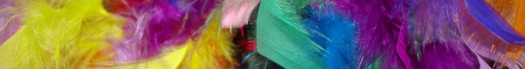 plumes-multicolores