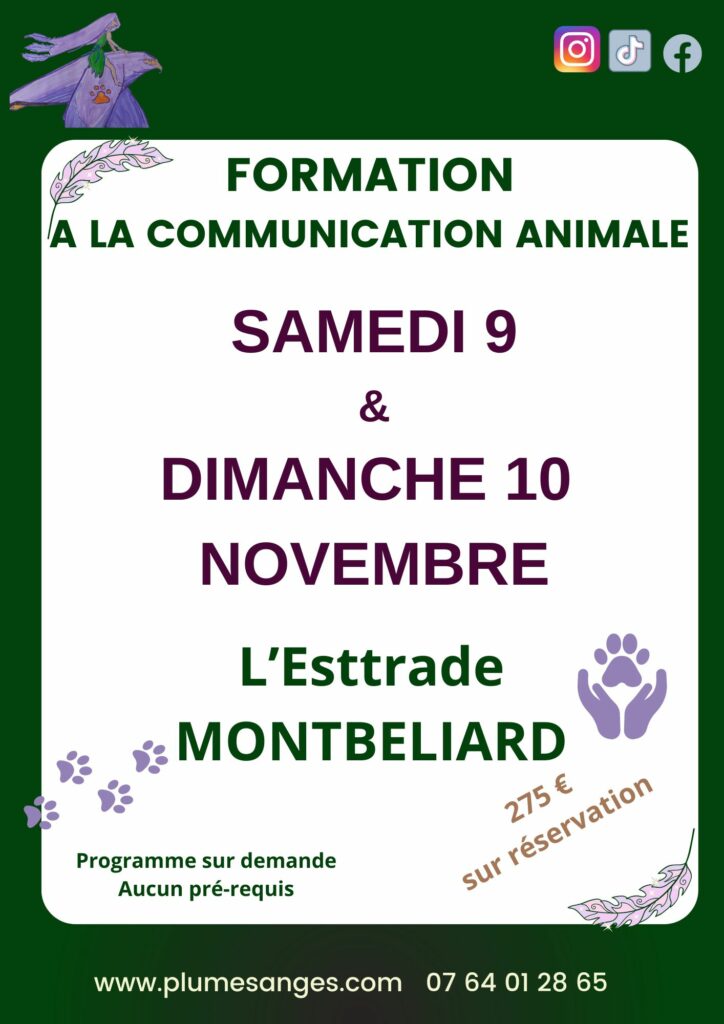 Formation communication animale Montbéliard