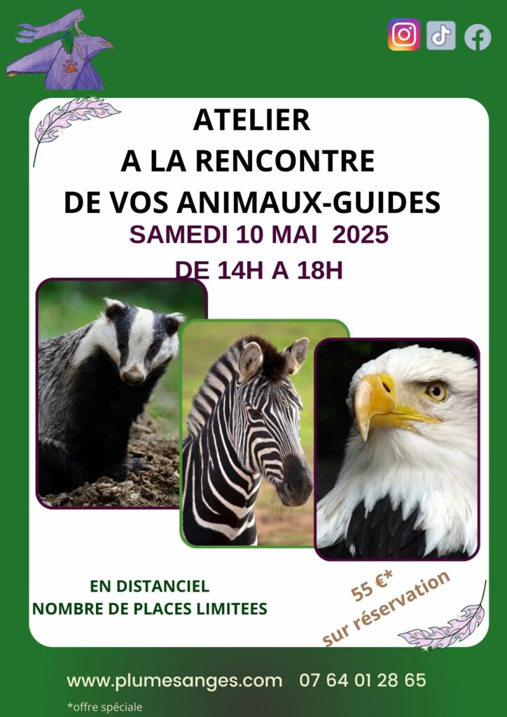 ATELIER ANIMAUX GUIDES PAR PLUMES D'ANGES