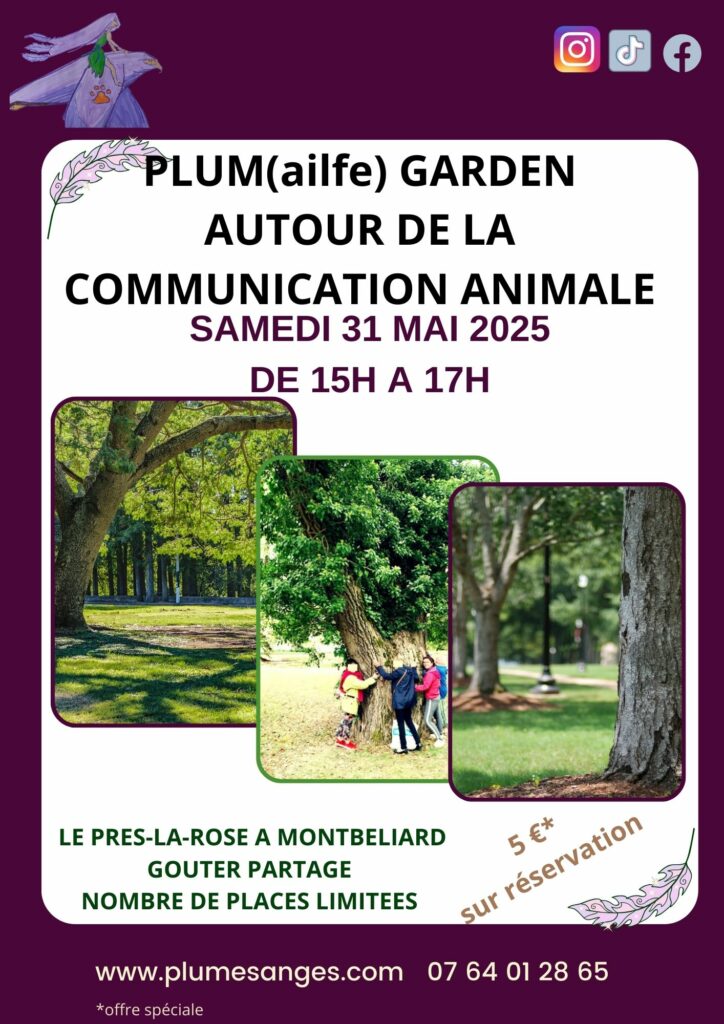 atelier rencontre autour de la communication animale Montbéliard