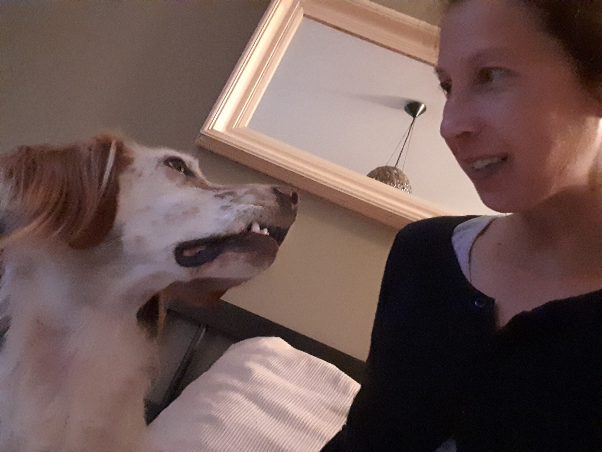 comprendre un animal avec la communication animale