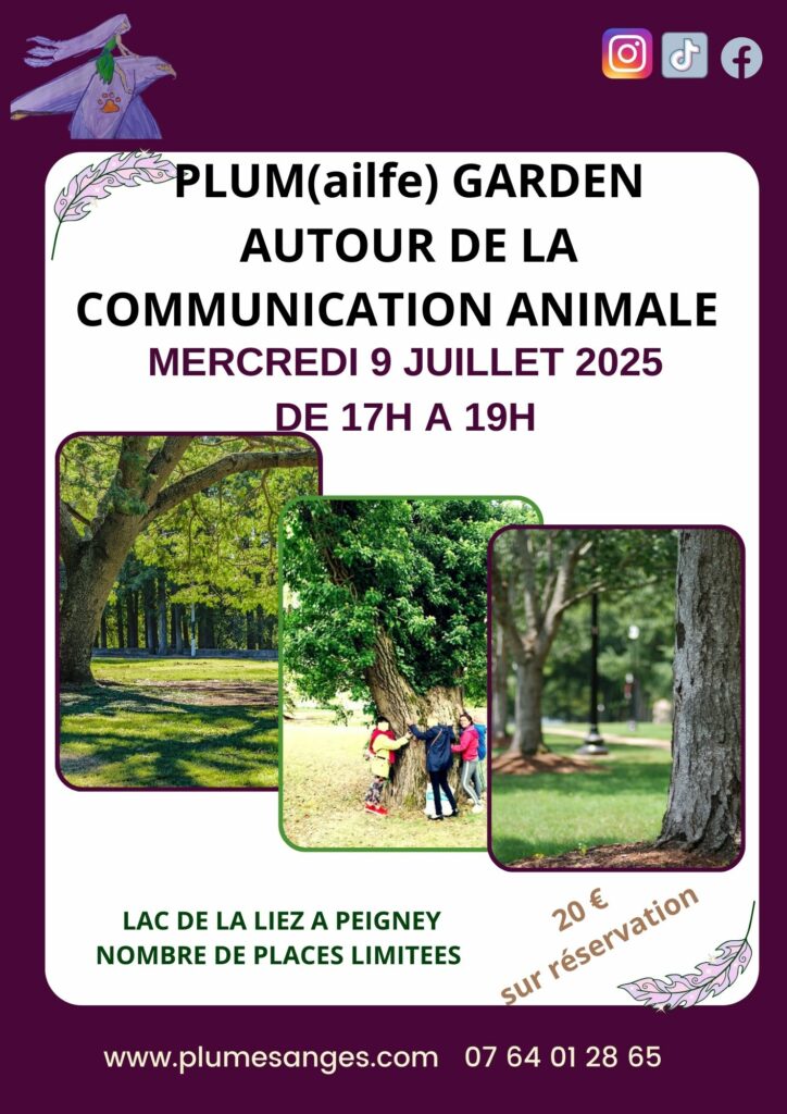 ATELIER RENCONTRE COMMUNICATION ANIMALE LANGRES PEIGNEY LAC DE LA LIEZ PLUMES D'ANGES juillet