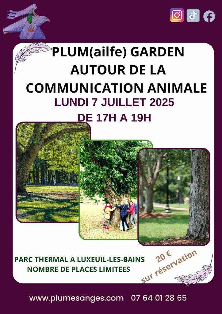 atelier rencontre autour de la communication animale luxeuil les bains