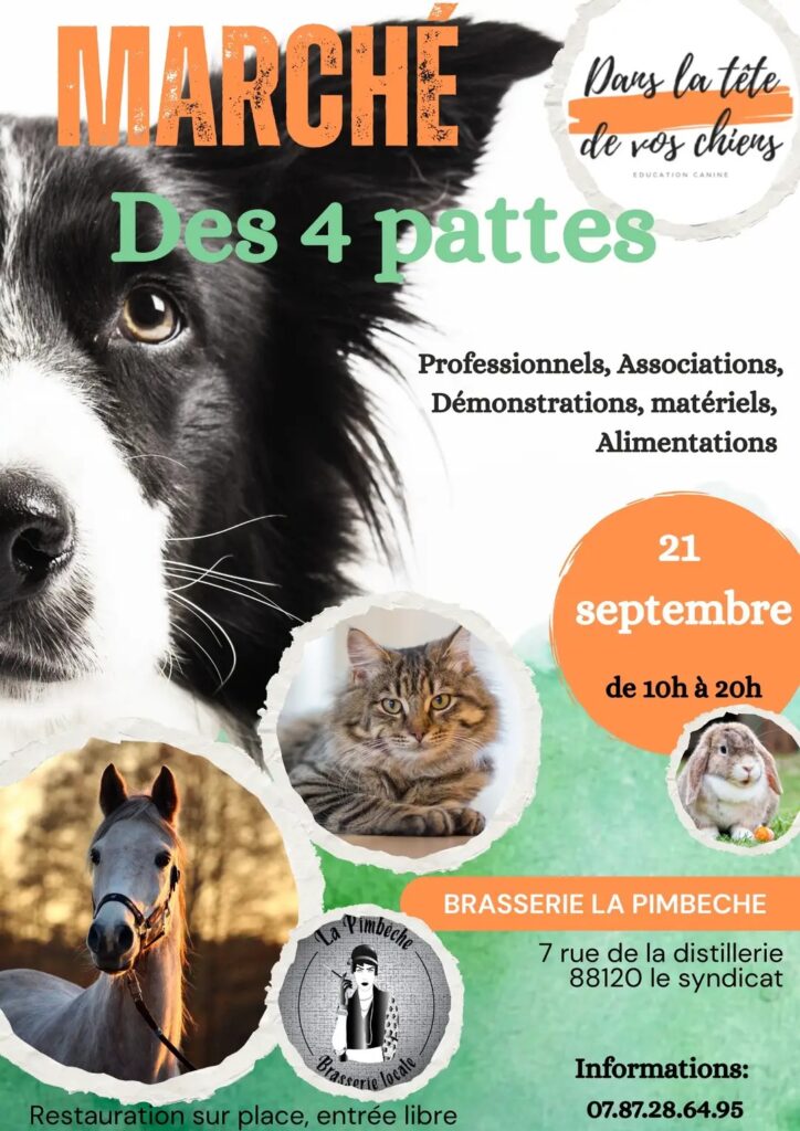 plumes d'anges sera au marché des 4 pattes septembre 2025