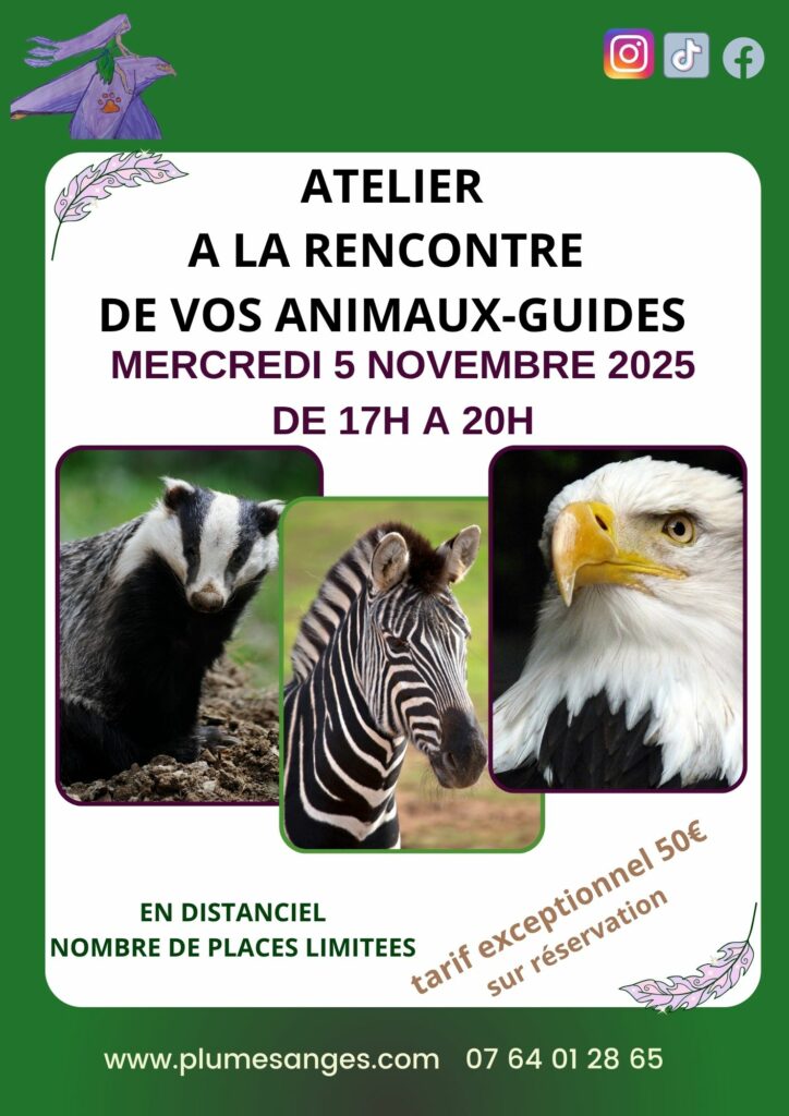 atelier découverte des animaux guides novembre 2025