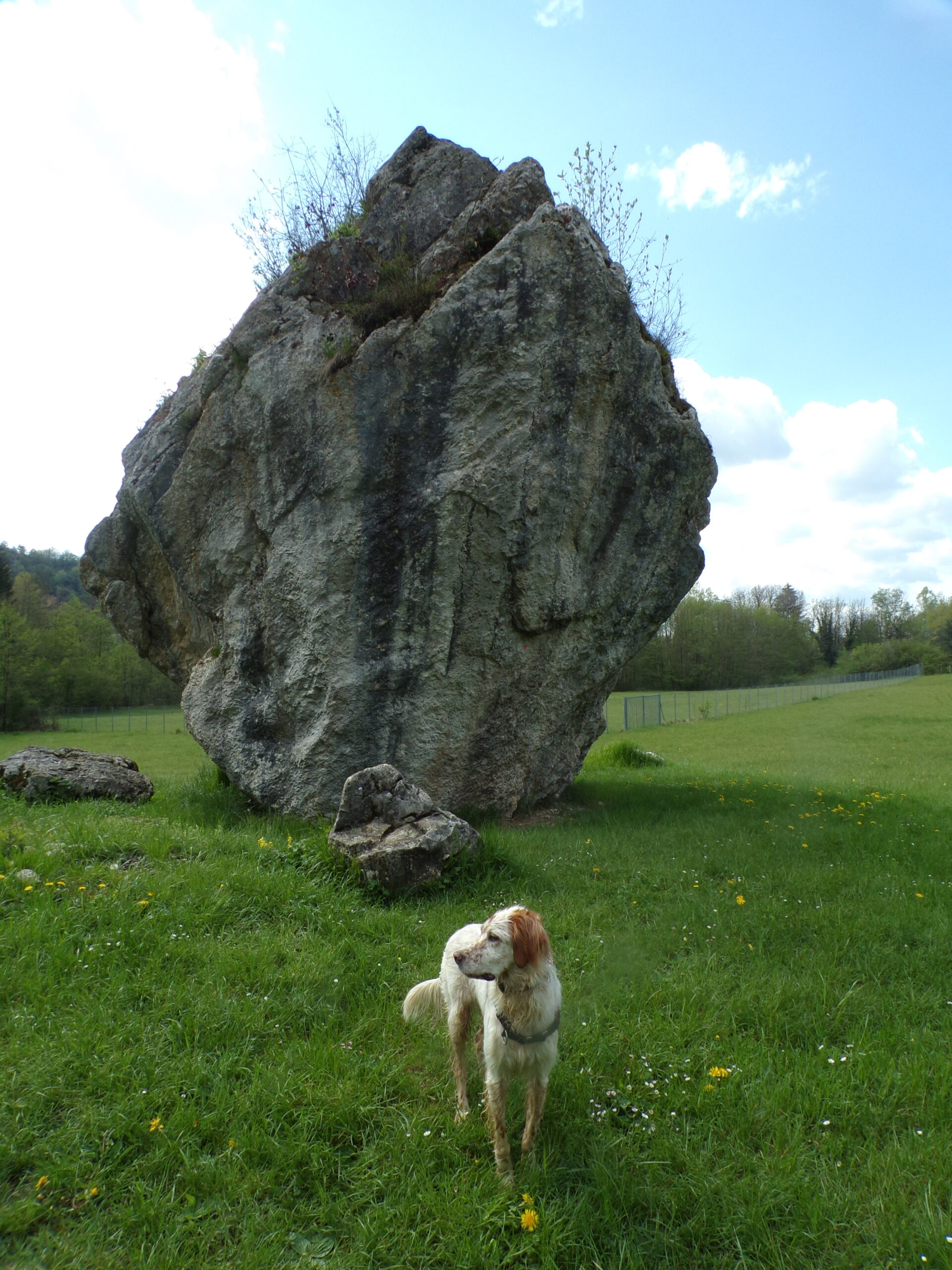 communication minérale par plumes d'anges