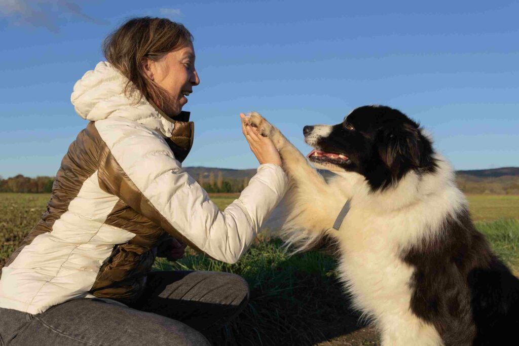 communication animale Plumes d'Anges Prisca Mellouet
